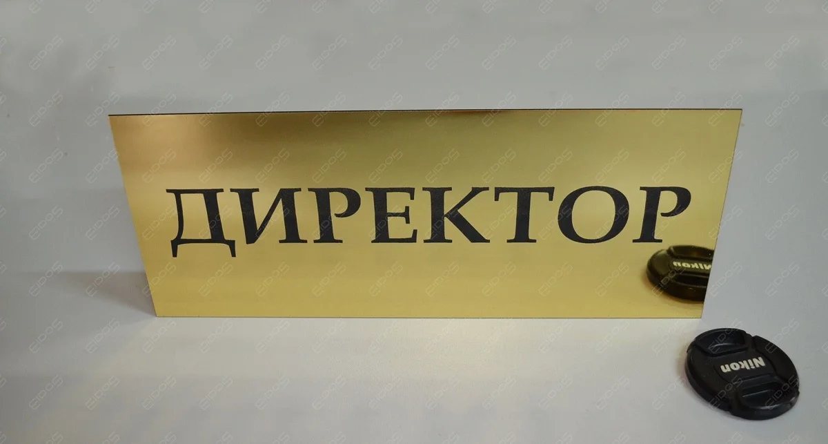 Мектеп және балабақша директорлары жаңа жүйемен тағайындалады – министр