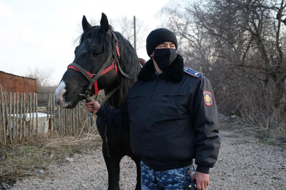 Петропавл саяжайларын салт атты сақшылар күзетіп жүр