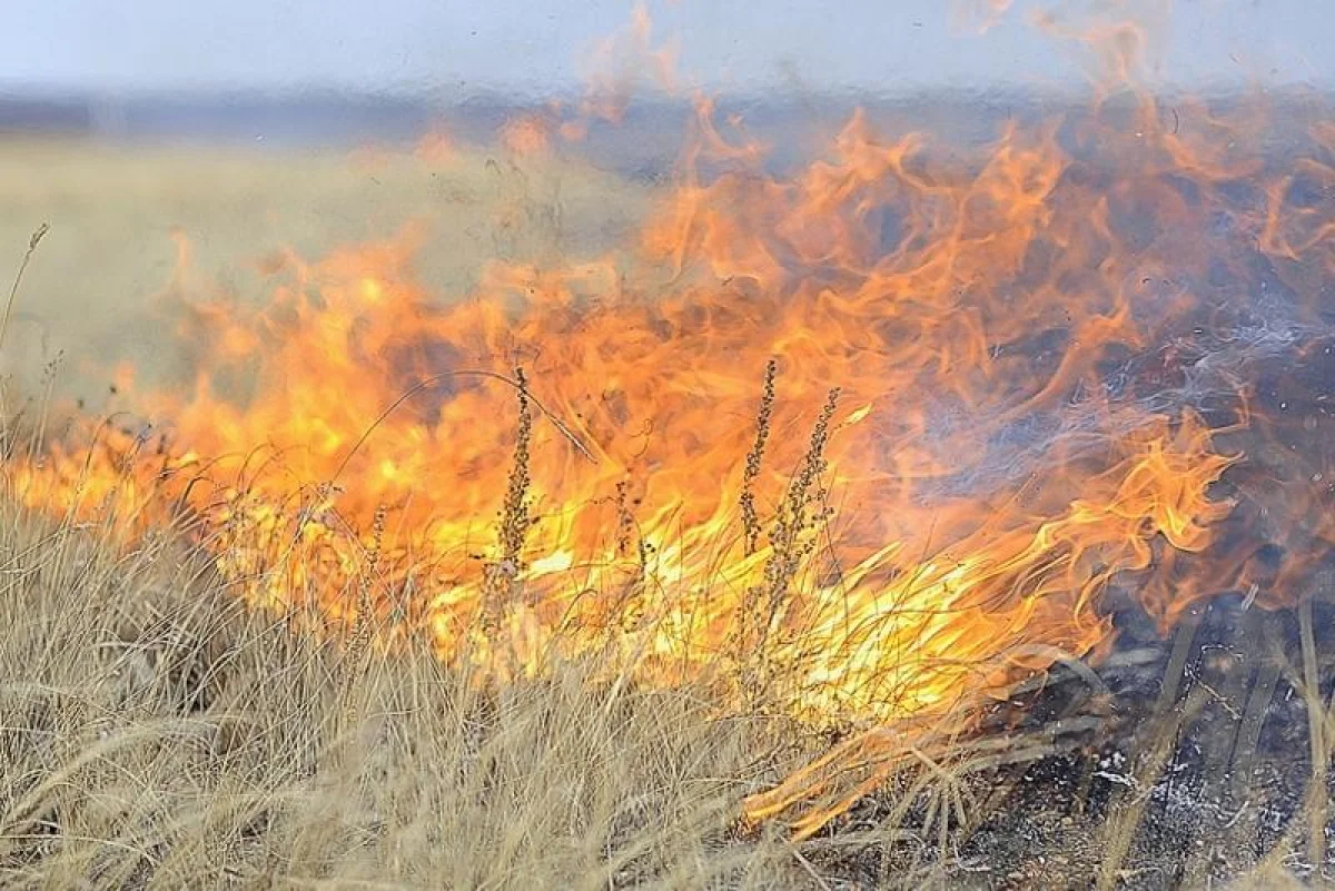 Павлодар облысында дала өртеніп, ауыл тұрғындары эвакуацияланды