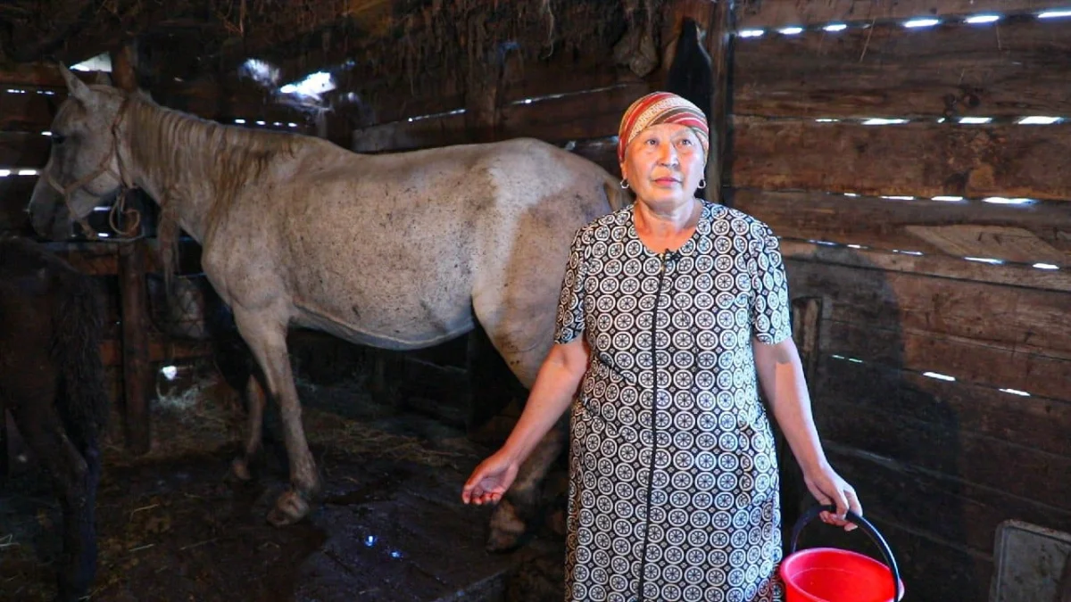 Нұр-Сұлтанда вирус өршігелі саумалға деген сұраныс күрт өскен