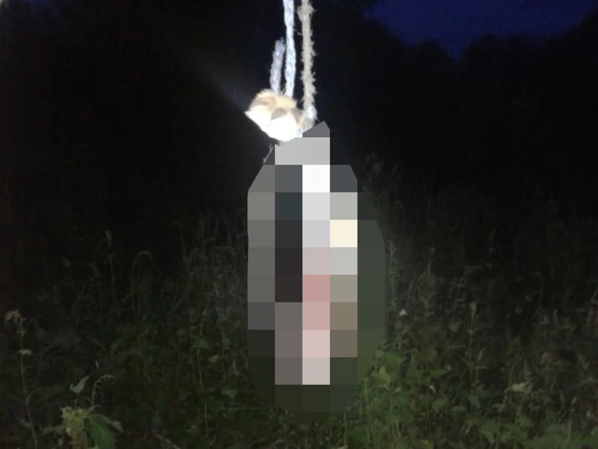 СҚО-да көршісі берген итті сойып жеген күдікті 30 күнге қамалуы мүмкін