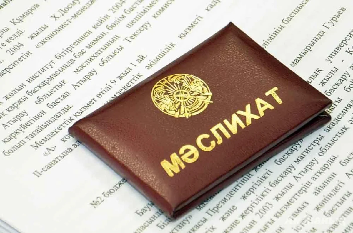 Мәслихаттардың отырысын онлайн форматта өткізуді міндеттеу керек – Тоқаев