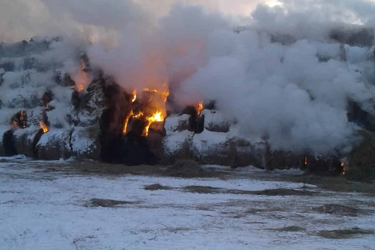 Ақмолалық полицейлер шөп өртіне байланысты қылмыстық іс қозғады