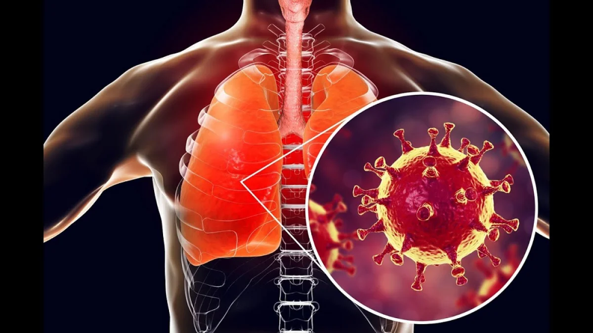 Коронавирус ағзада қанша уақыт сақталады – ғалымдар жауабы