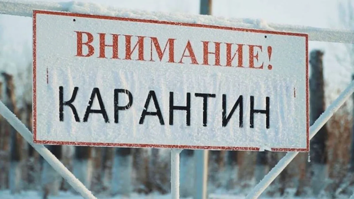 СҚО-да тағы 4 ауыл карантинге жабылды