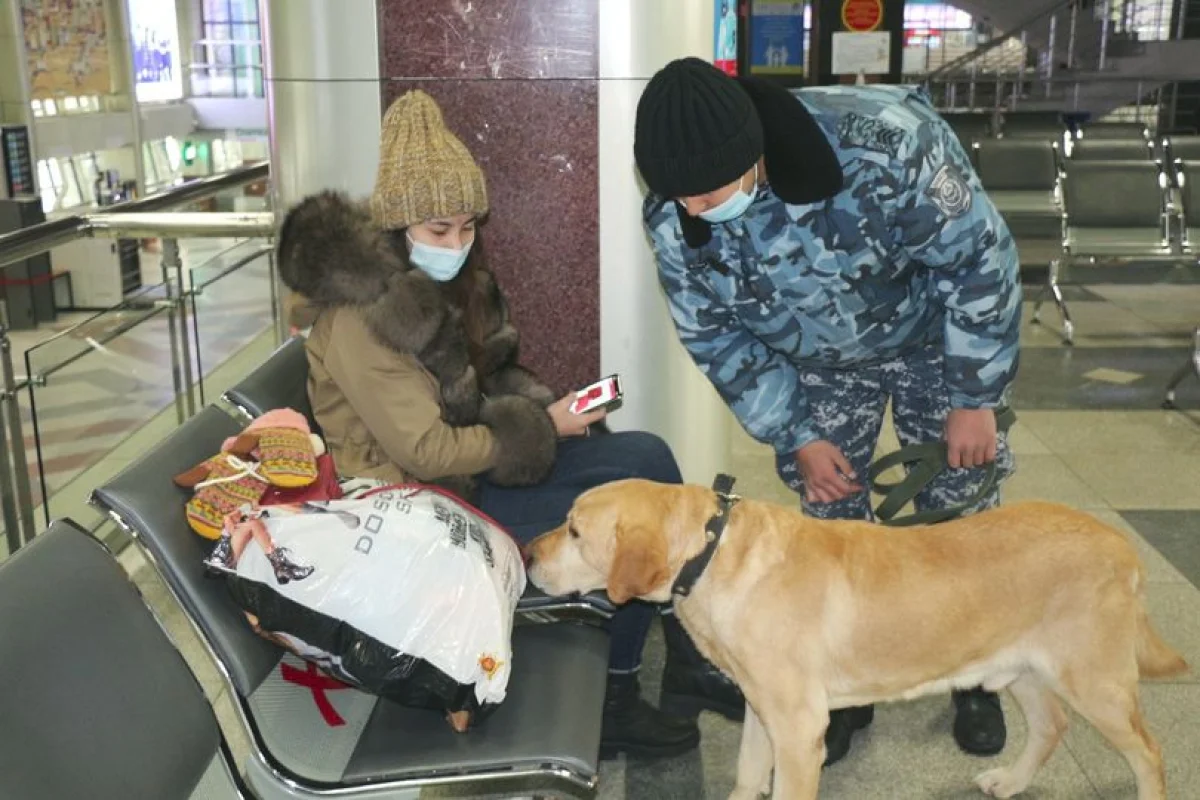Көлік полицейлері күшейтілген қызмет тәртібіне көшеді