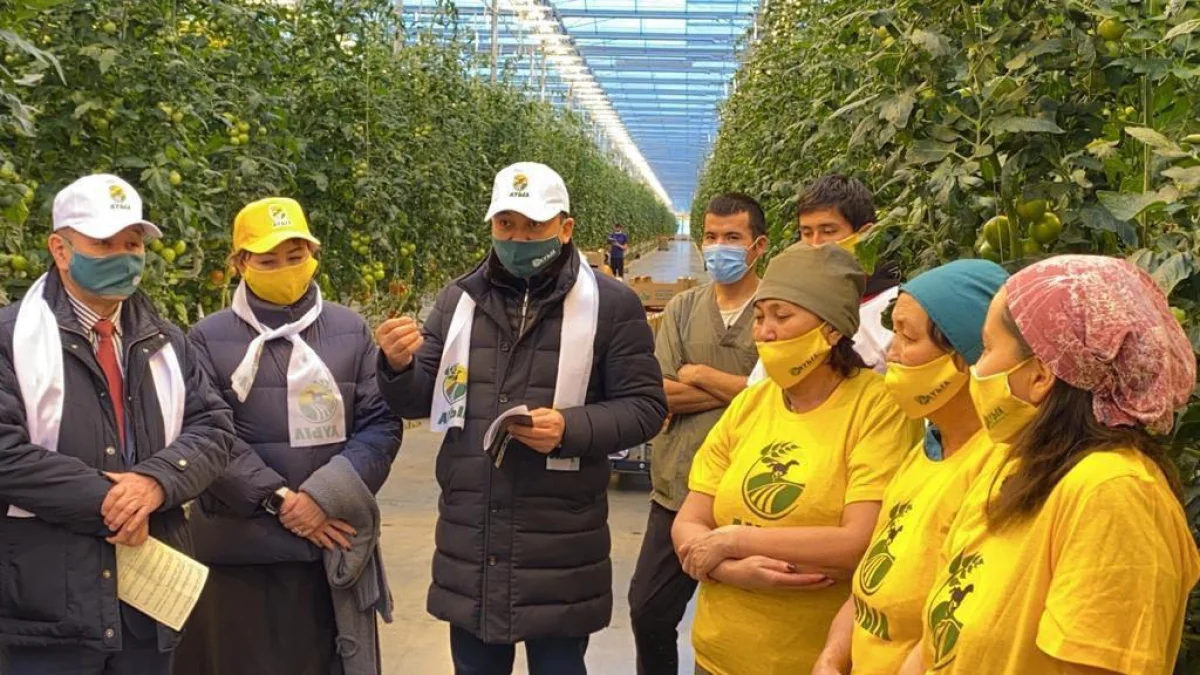 «Ауыл» партиясының өкілдері Алматы облысында жылыжай кешеніне барды