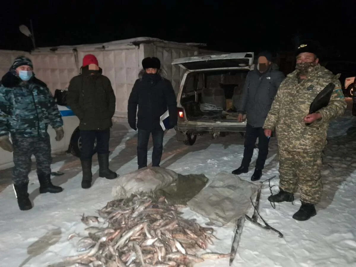 Қарағанды облысында заңсыз ауланған үш қап балық тәркіленді