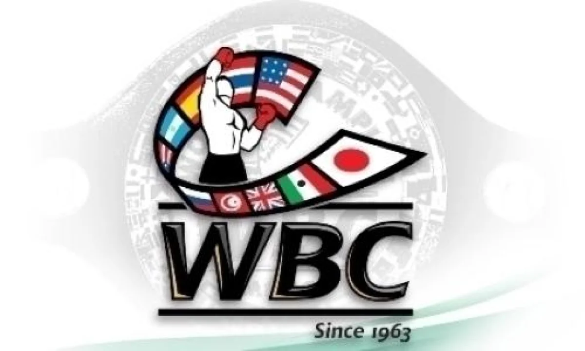 WBC рейтингіндегі қазақстандық боксшылардың орны белгілі болды