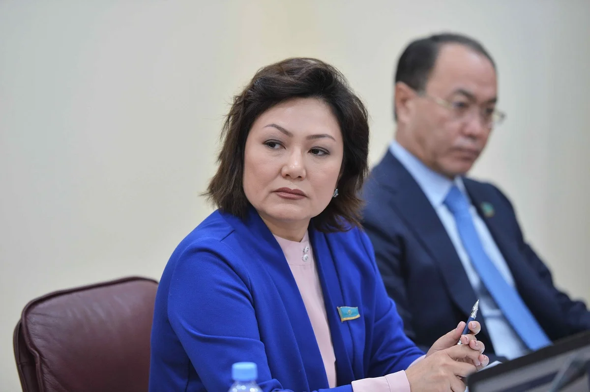 Жаңа заң жобалары халыққа дұрыс түсіндірілмейді – Дана Нұржігіт