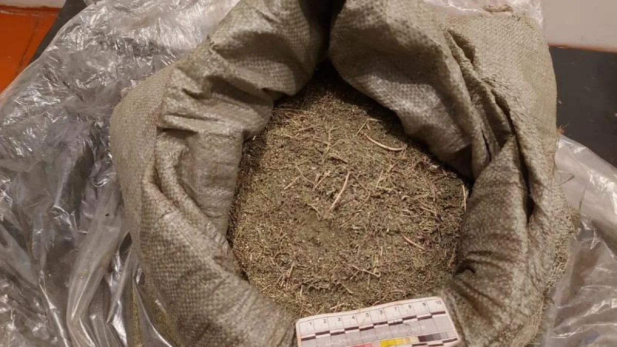 Жамбыл облысы тұрғынынан ірі көлемде есірткі тәркіленді