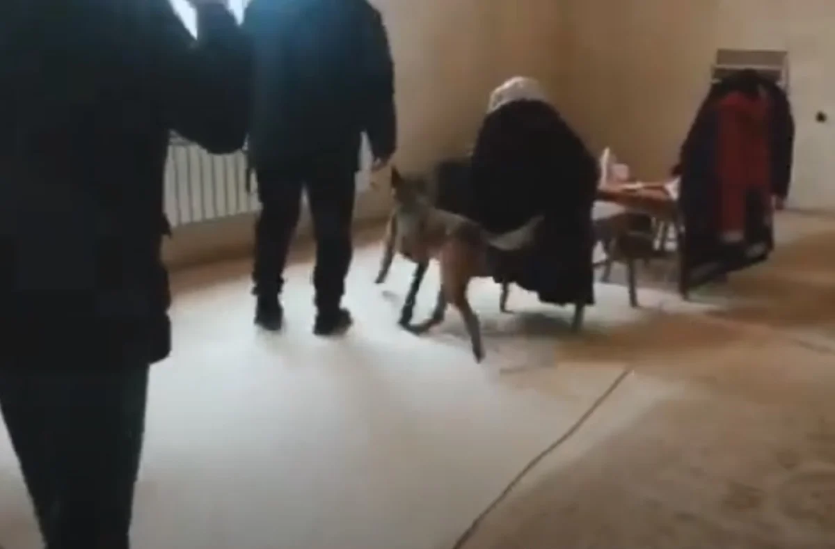 Ақтауда зейнет жасындағы азаматтың үйінен есірткі мен тапанша табылды