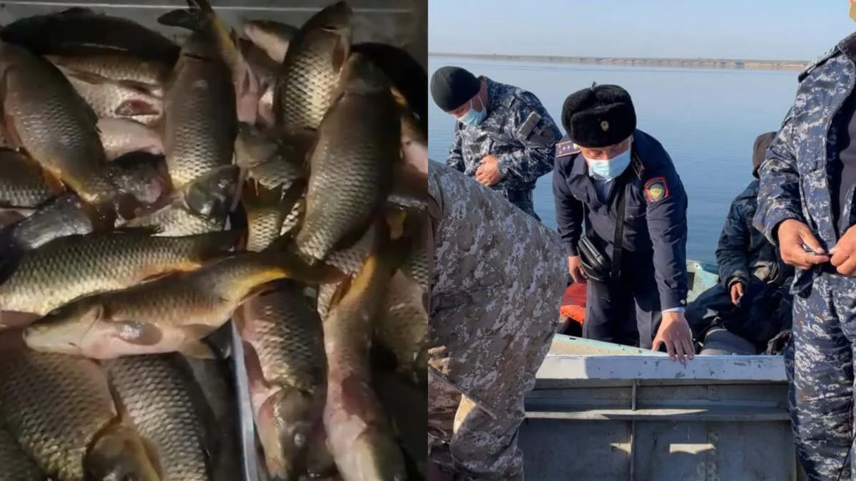 Сырдария өзенінде балық аулап отырған жерінен 2 ер адам ұсталды