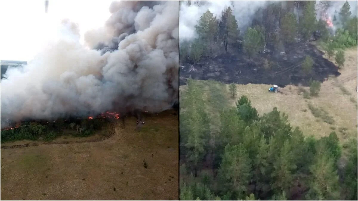 Павлодар облысында орман өртенді