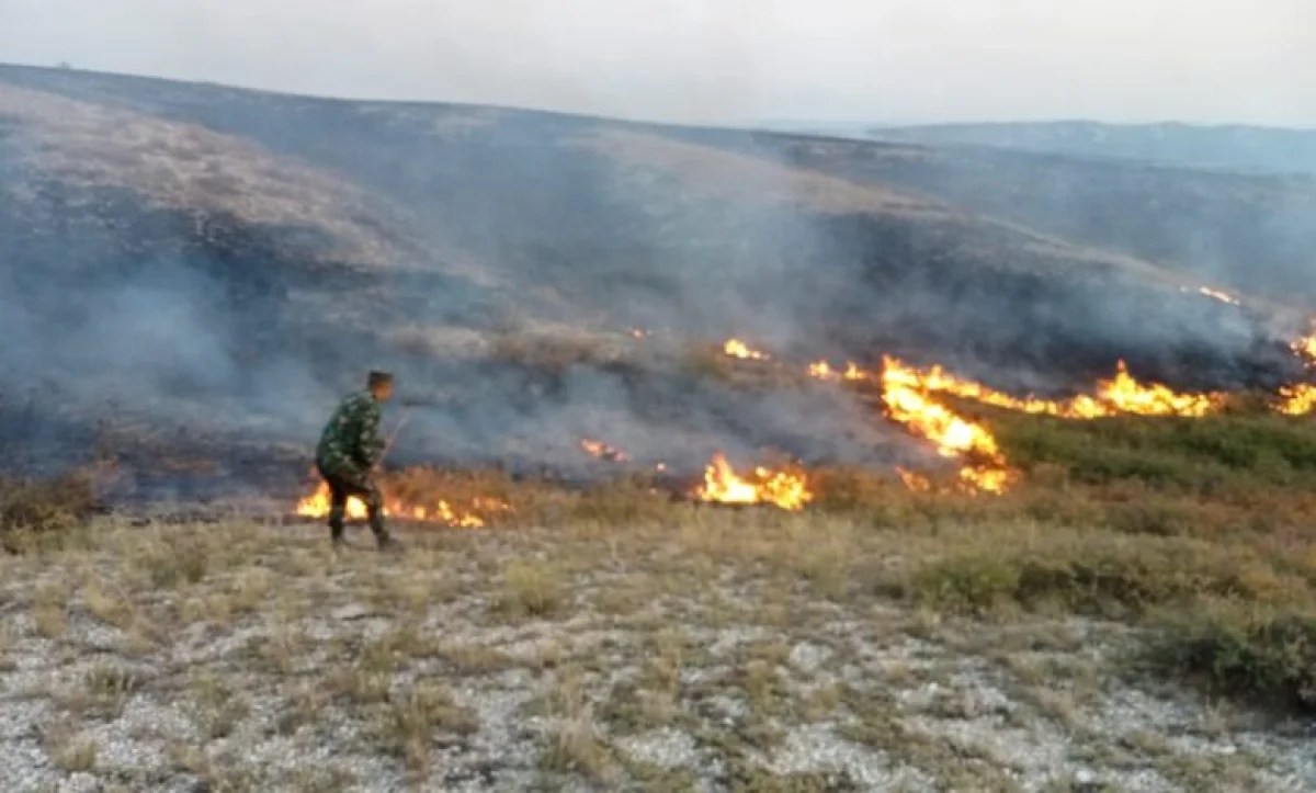 ШҚО аудандарының бірінде дала шөбі өртенді