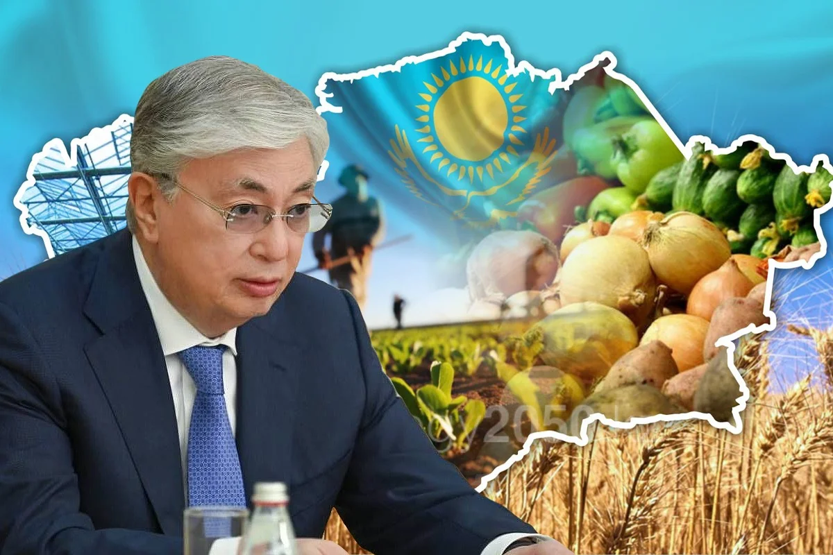 «Тәртіп орнататын кез келді»: Тоқаев Үкіметке бір ай уақыт берді