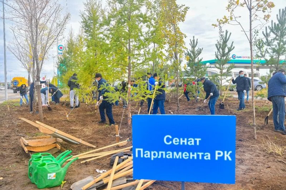 Сенат депутаттары дәстүрлі жалпы қалалық сенбілікке қатысты