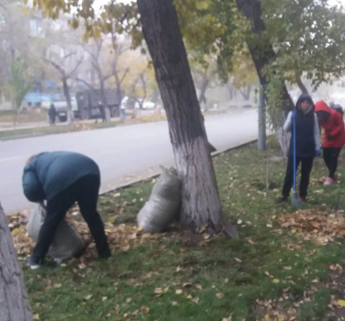 Семейде мұғалімдер сабақ өткізудің орнына қала көшелерін тазалаған