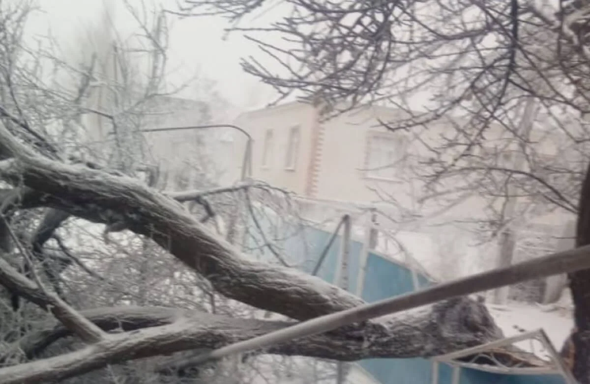 Жамбыл облысында дауыл кезінде жасөспірім бала қайтыс болды