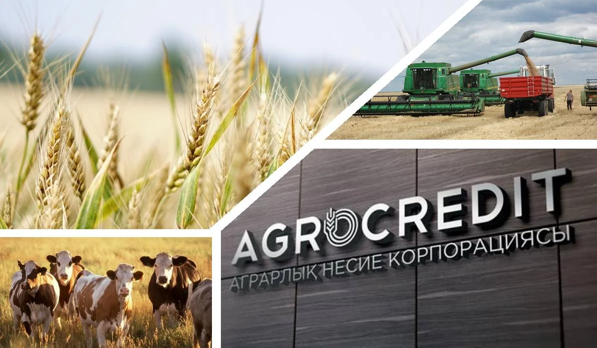 Аграрлық несие корпорациясы агроөнеркәсіптік кешендегі сақтандыру операторы болды