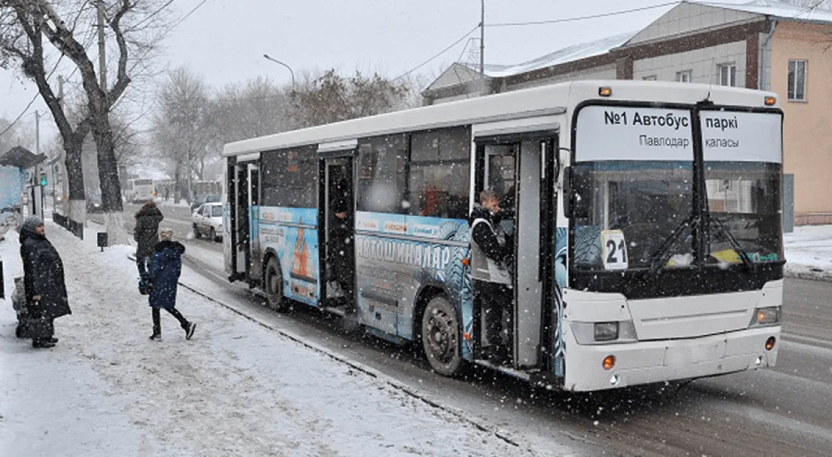 Павлодарда автобус жүргізушісі мүгедек адамды қағып, қашып кеткен