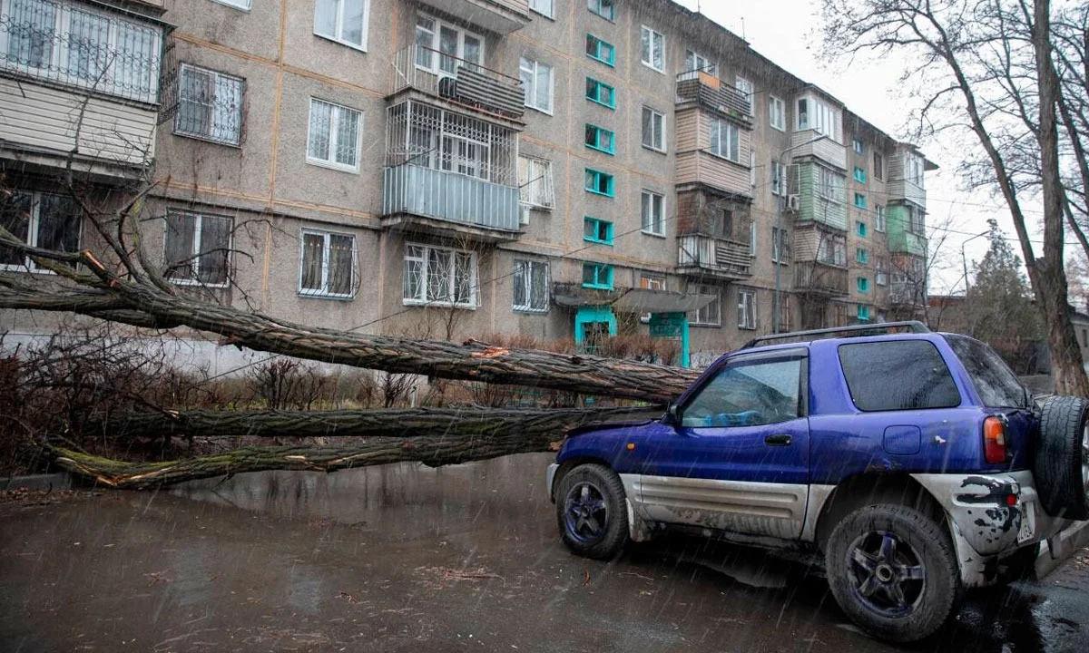 Алматыда дауылдан 15 ғимарат, 25 автокөлік зақымданды