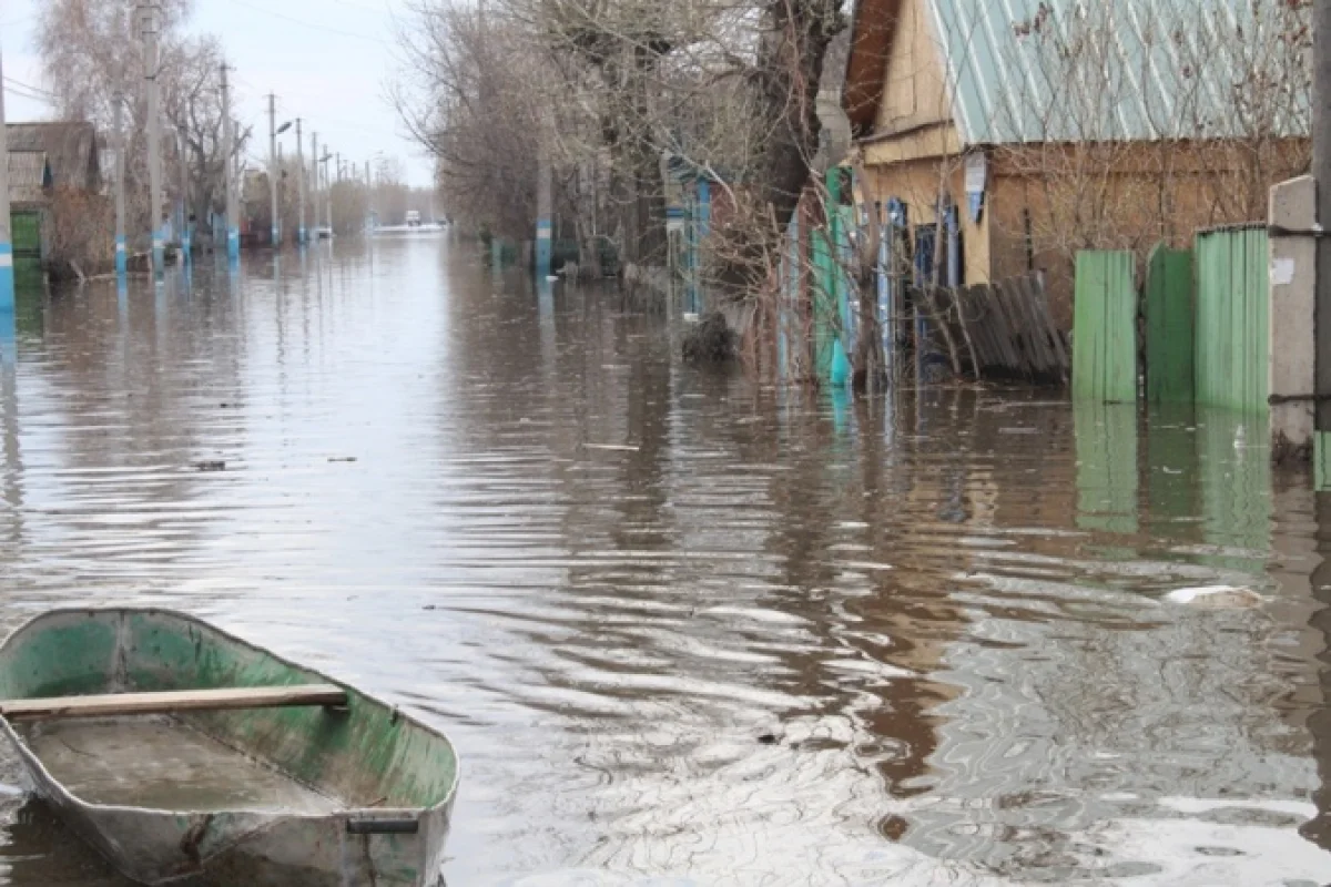 ШҚО-ның Алтай ауданында жер үйлердің ауласын су шайып кетті