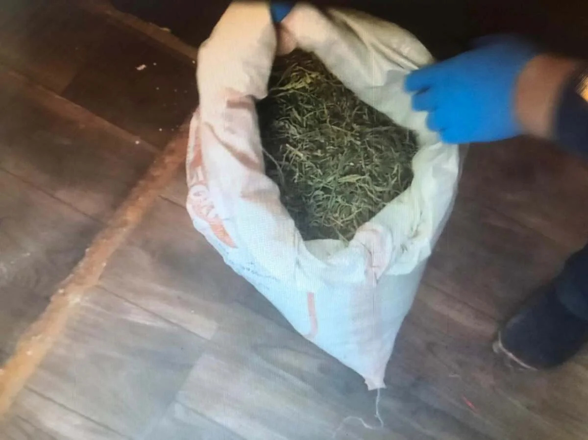 Жамбыл облысында көлігімен 200 келі есірткі тасымалдаған ер адам ұсталды