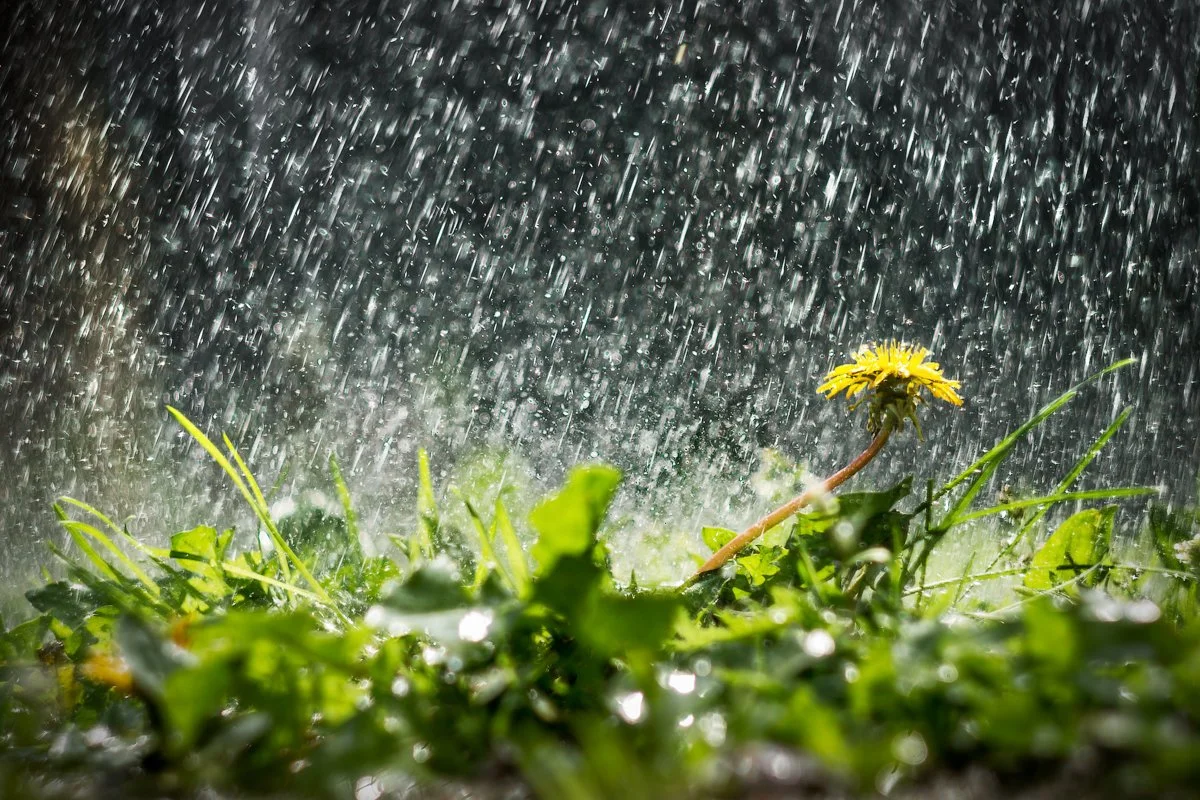 Ауа райы: еліміздің бірнеше өңірінде жаңбыр жауады