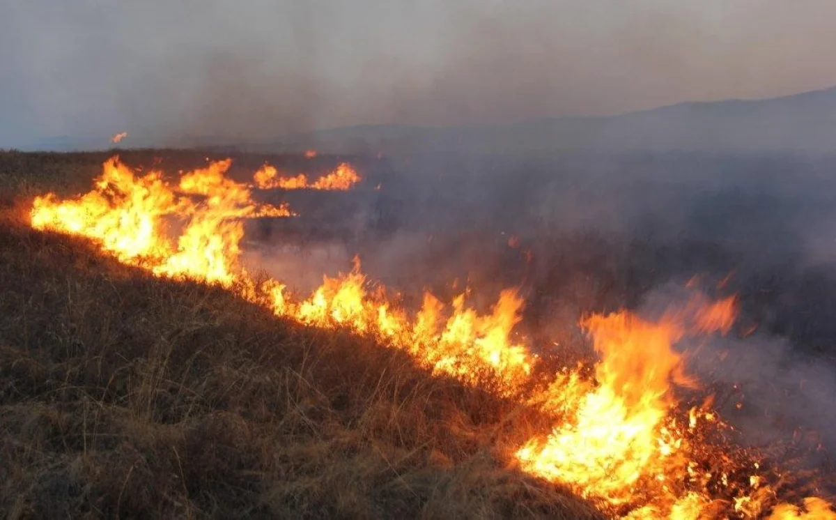 Шығыс Қазақстан облысында бір күнде 26 дала өрті тіркелді