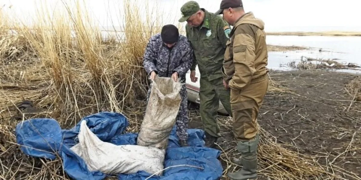 ШҚО-да браконьерлерден 2 тоннадан астам балық тәркіленді