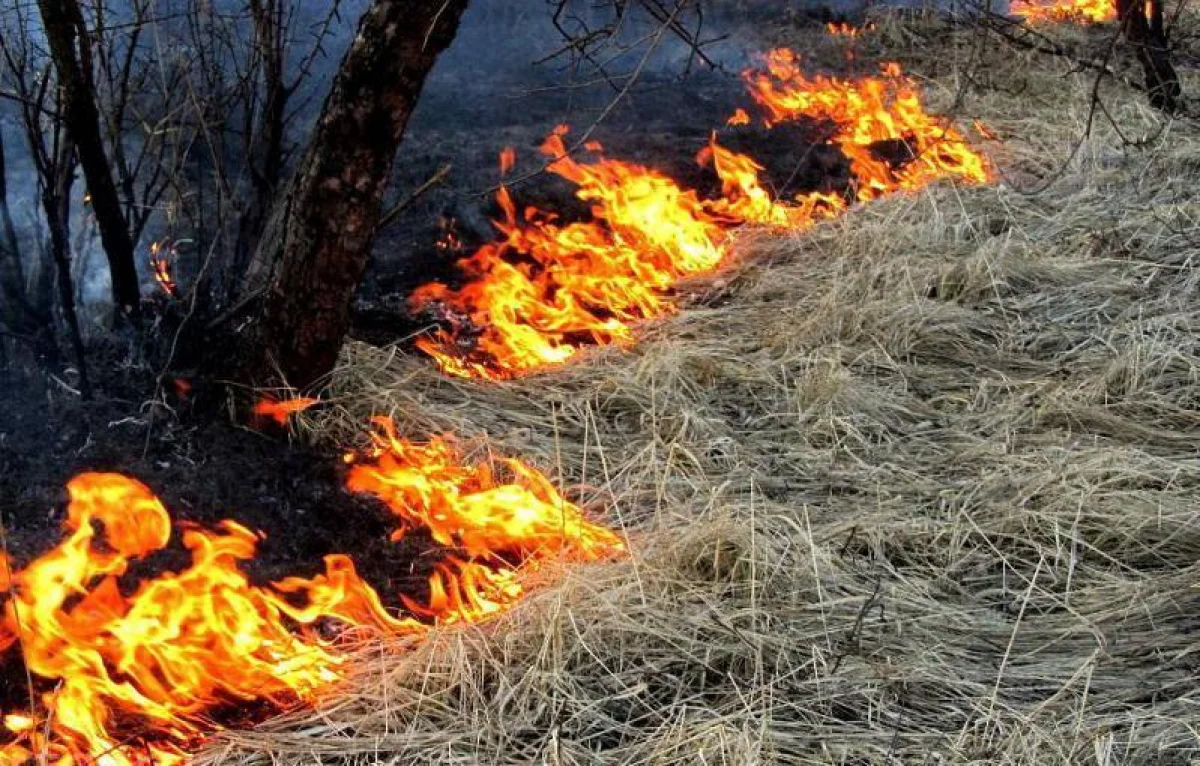 Павлодар ауданында төрт тонна шөп пен қора жанып кетті