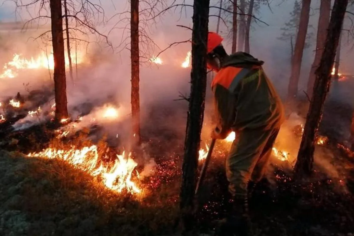 Қарағанды облысында табиғи өртті сөндіруге тікұшақ тартылды