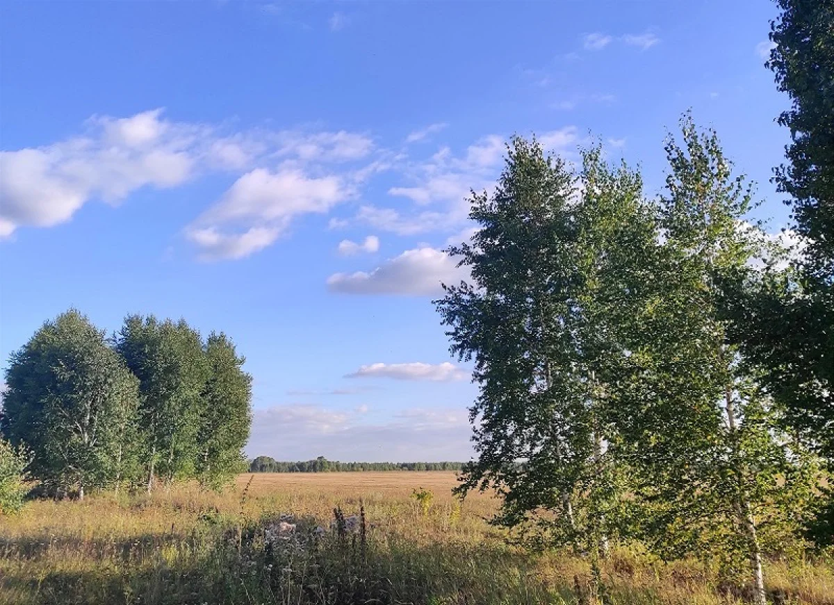 Бүгін еліміздің басым бөлігінде күн ыстық болады
