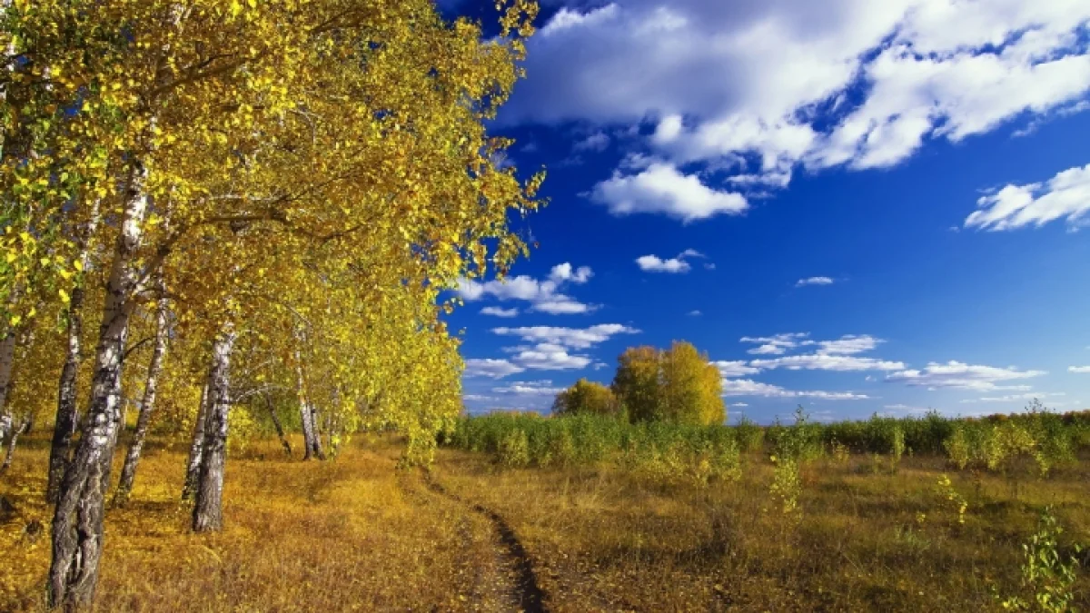 Бүгін еліміздің басым бөлігінде күн райы ашық болады