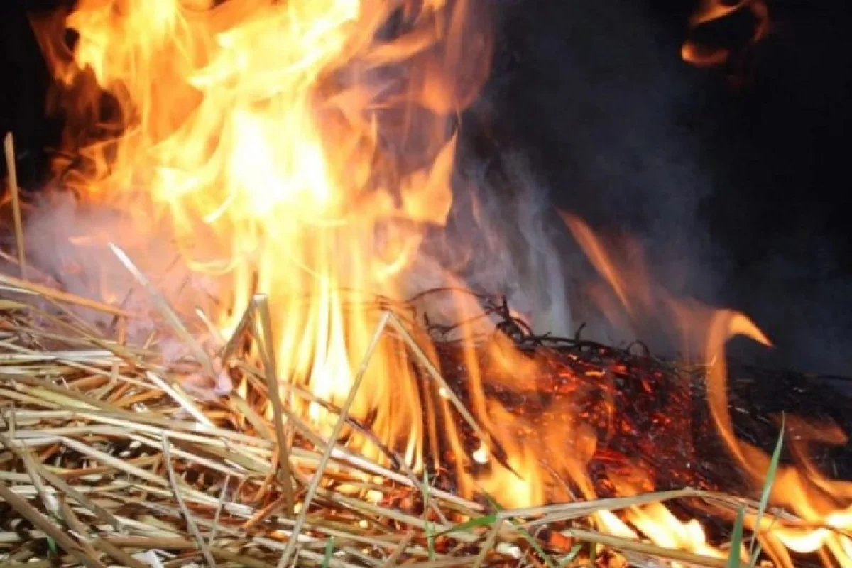 Павлодар облысында 25 гектар жаңа шабылған шөп пен қамыс өртеніп жатыр