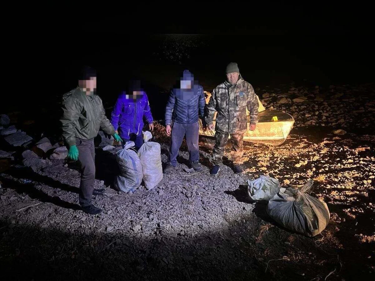 Балқаш көлінен заңсыз балық аулаған ер адам қолға түсті