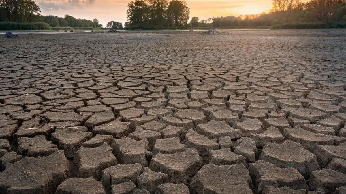 2030 жылға жетпей Қазақстанда қуаңшылық көбейіп, экожүйе дағдарысқа ұшырайды – депутаттар