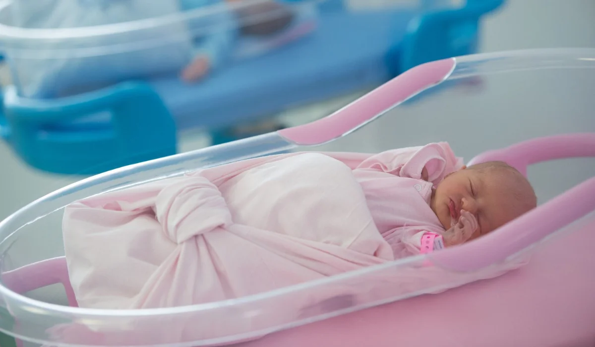 Жаңа жыл қарсаңында елімізде 240 сәби өмірге келді