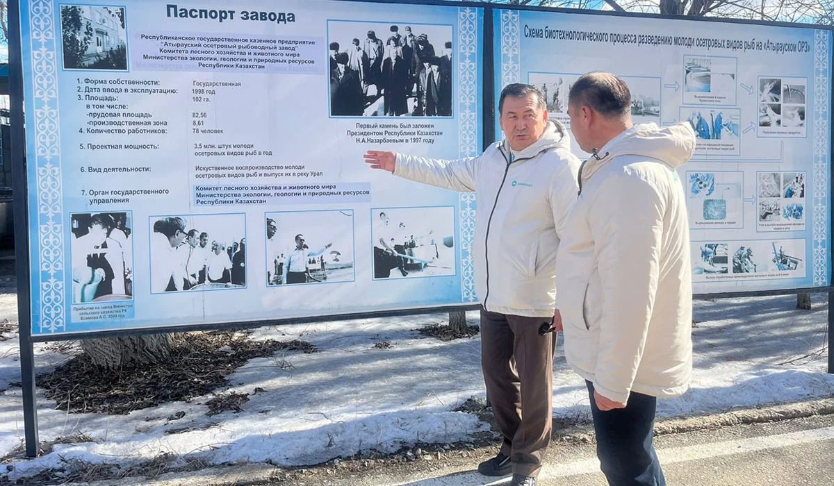 «Жайықтың жайы өзекті»: аманаттықтар Атырау облысында еңбек ұжымымен кездесті