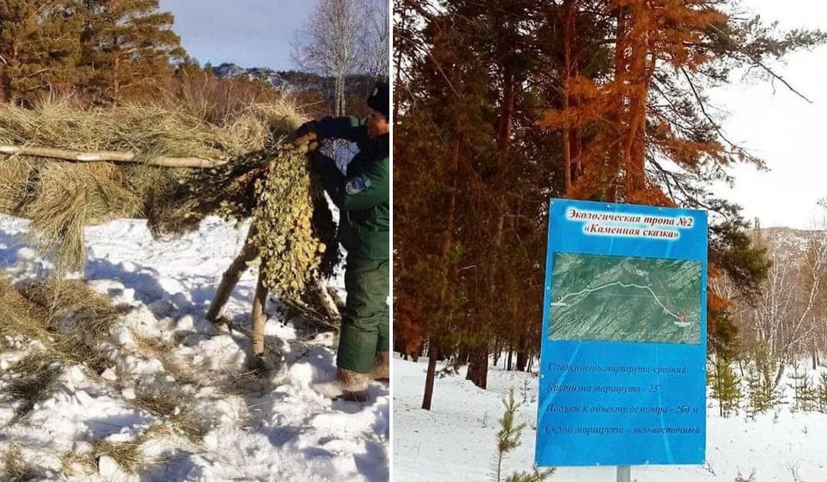 «Байтақ» партиясының өкілдері Қарқаралы мемлекеттік ұлттық табиғи паркіне барды