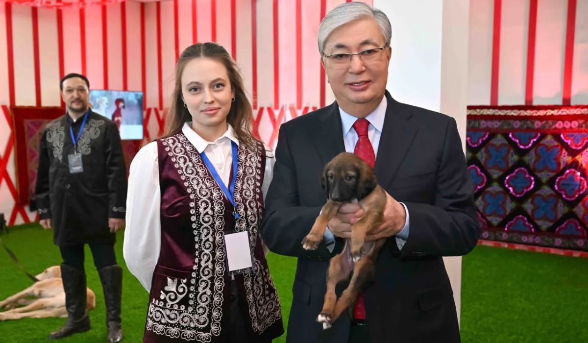 Мемлекет басшысына Наурыз есімді тазының күшігі сыйға тартылды
