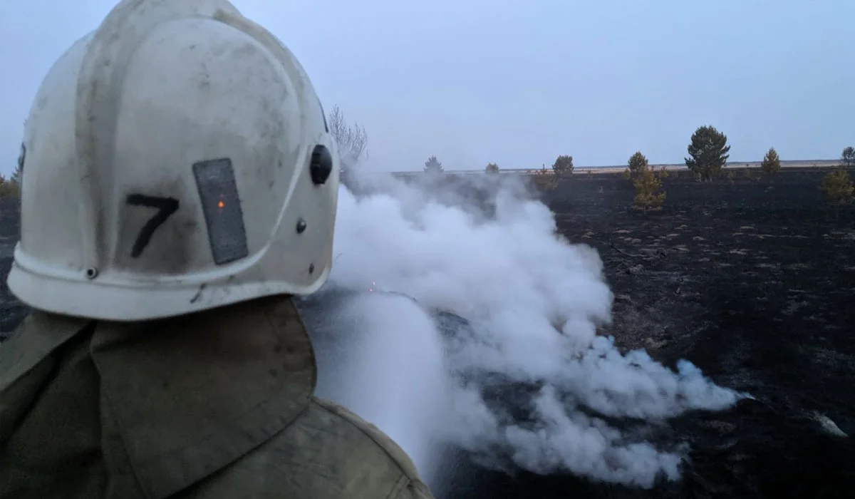 Павлодар облысында орманнан шыққан өрт Ресей аумағына өткен