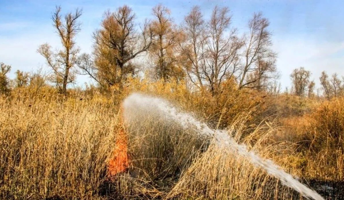 Күн жылынғалы елімізде 120-дан астам табиғи өрт болған