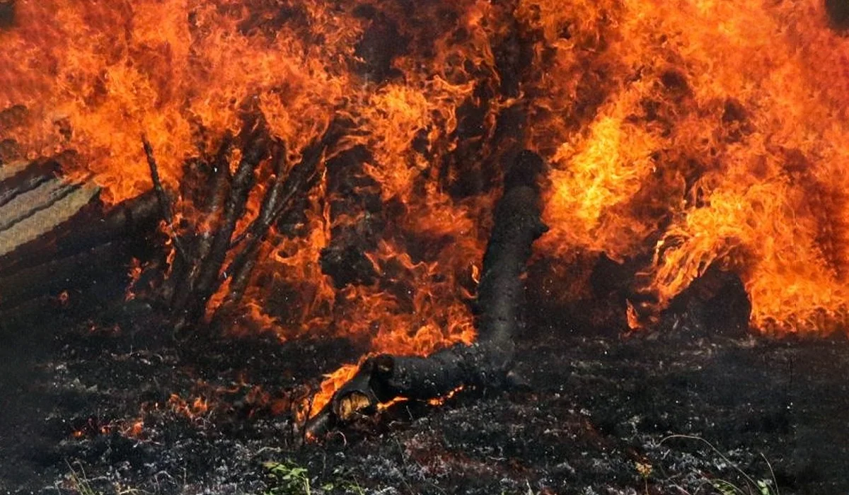 Павлодарда жылу трассасының қаптамасы өртенді