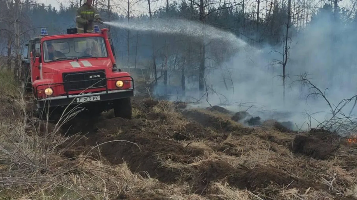 Абай облысындағы өрт: қауіп сейілді
