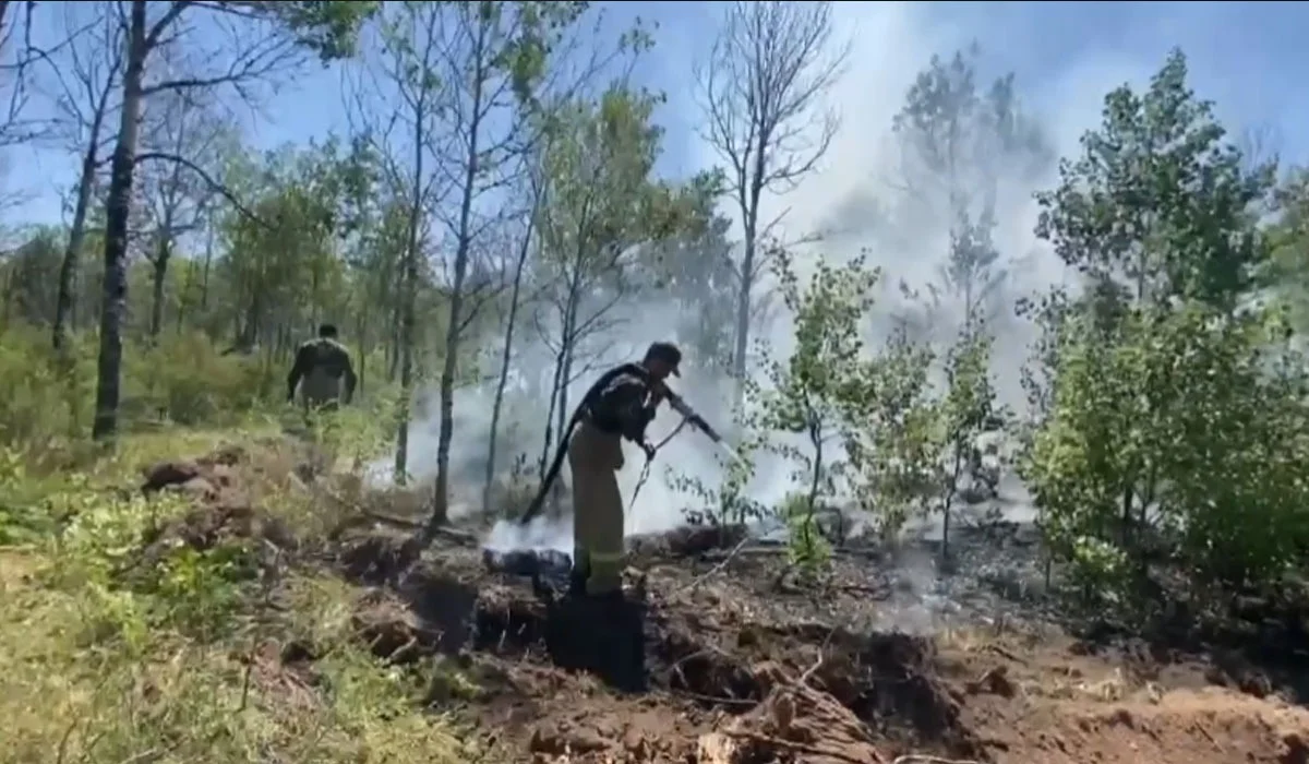 Абай облысындағы ТЖ: өрттің жалпы көлемі 60 000 га, оның 43 000 гектарында жану ошақтары байқалады