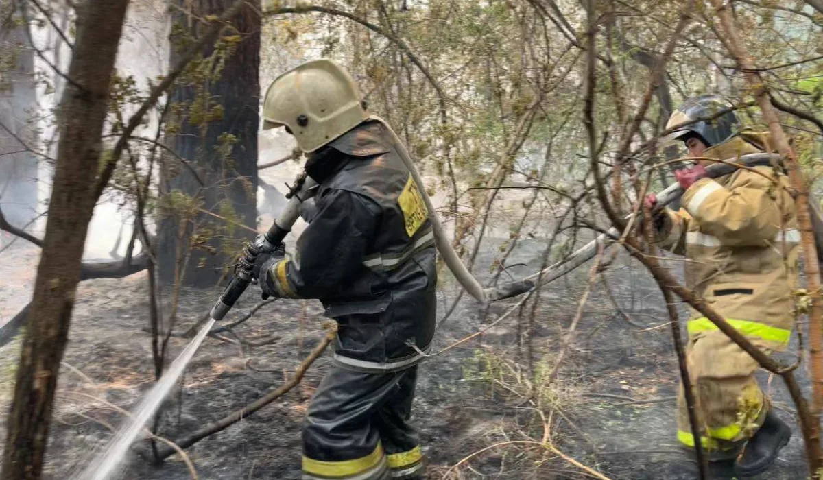 ТЖМ: Абай облысында өртті сөндіру үш бағытта жалғасуда