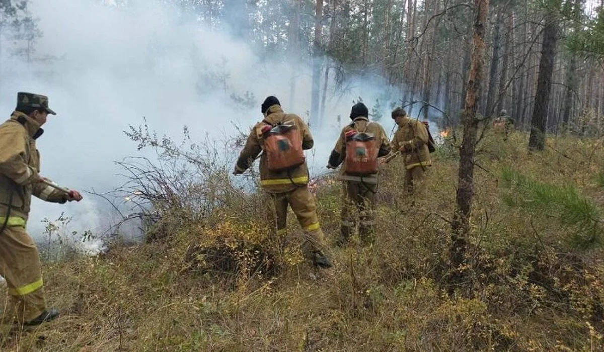 «Екі техника өртенді, тракторшы әлі табылмады»: Нұрлан Ұранхаев өңірдегі өрт жайлы