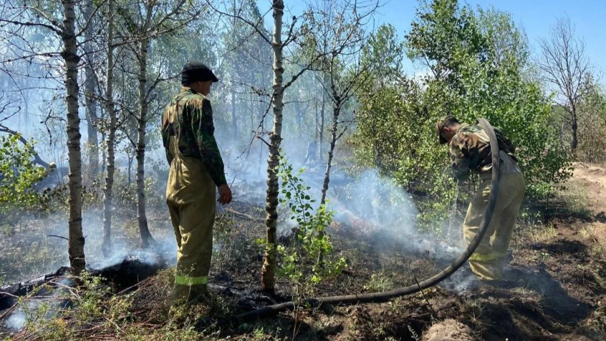 Қарағанды облысында ормандағы өрт жедел сөндірілді